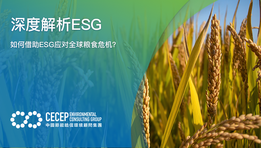 【深度解析ESG】如何借助ESG應對全球糧食危機？
