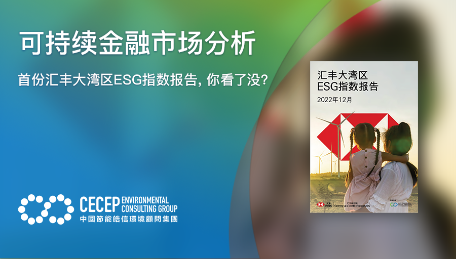 【可持續金融市場分析】首份匯豐大灣區ESG指數報告，你看了沒？